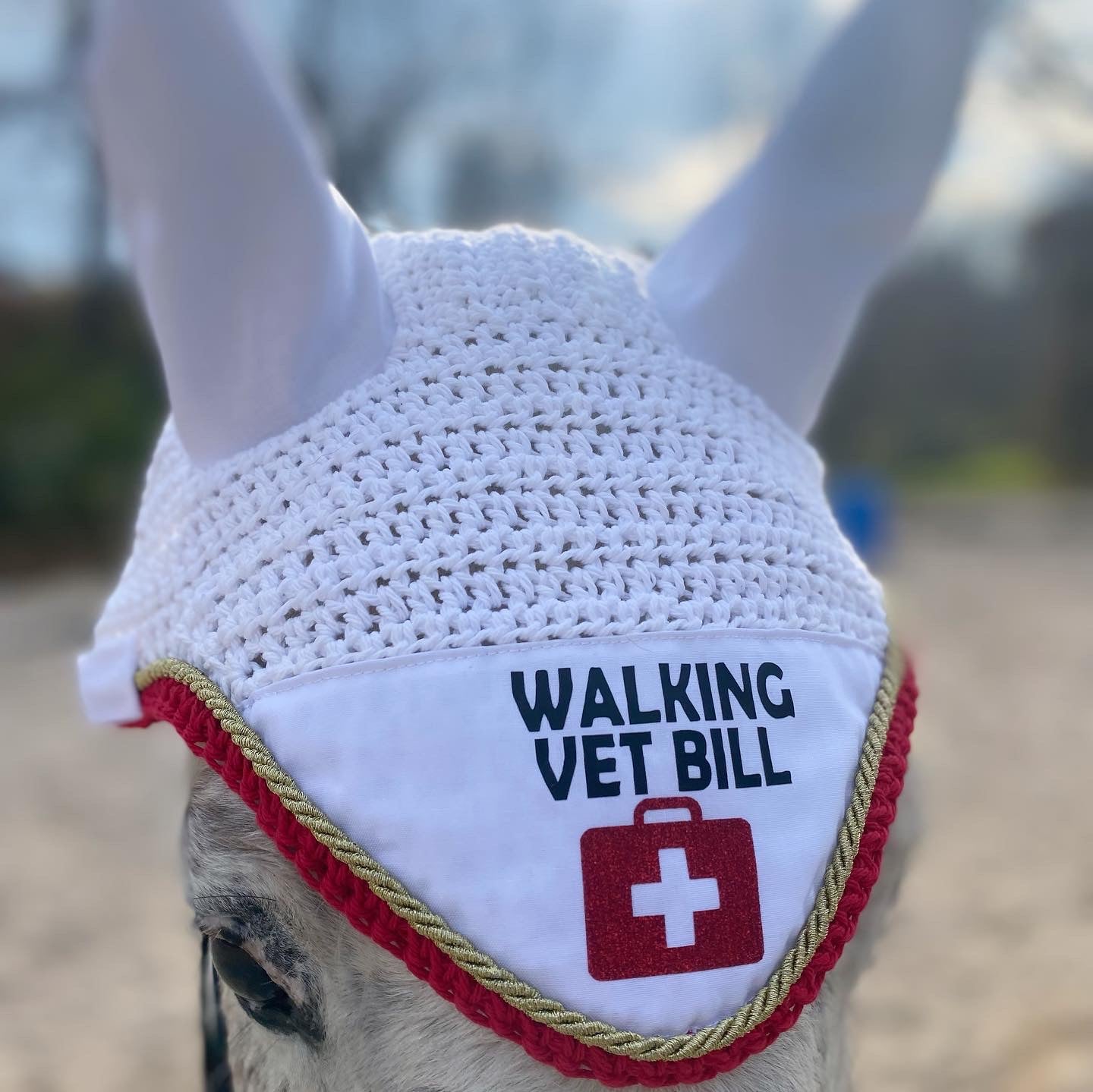 “Walking vet bill” fly bonnet