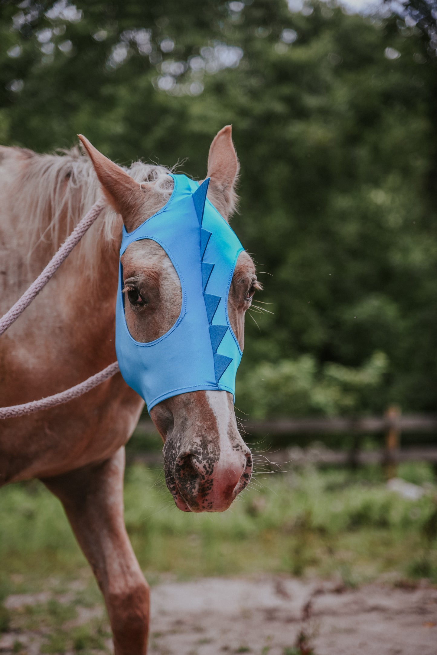 Blue dino costume mask