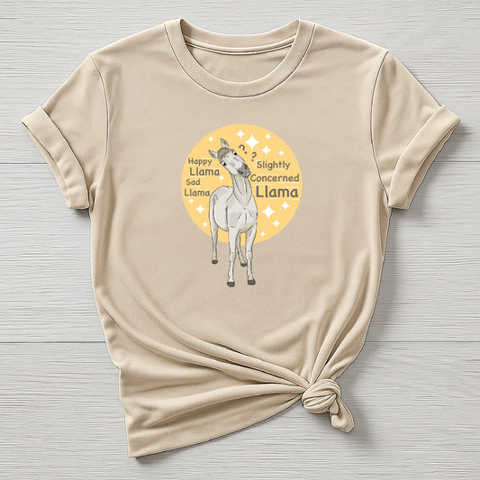 PREORDER concerned llama Tee