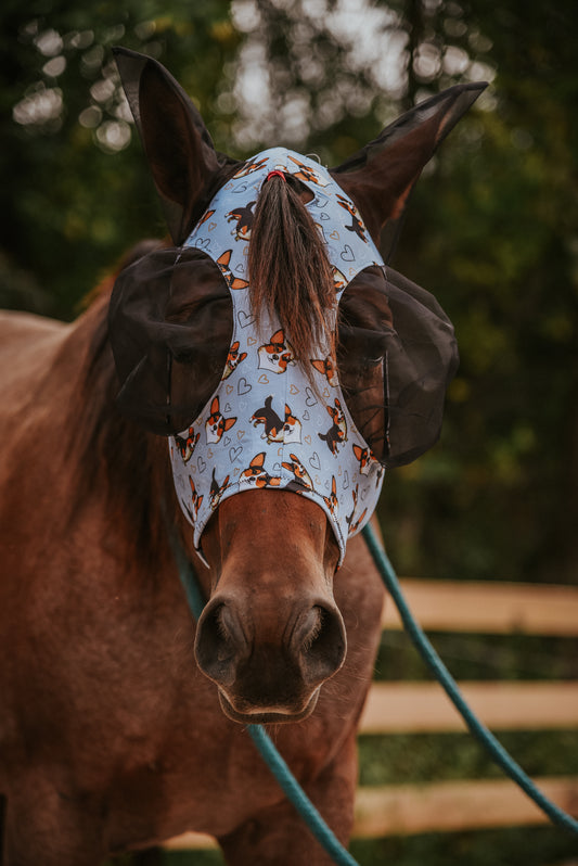 Tri color corgi Lycra fly mask