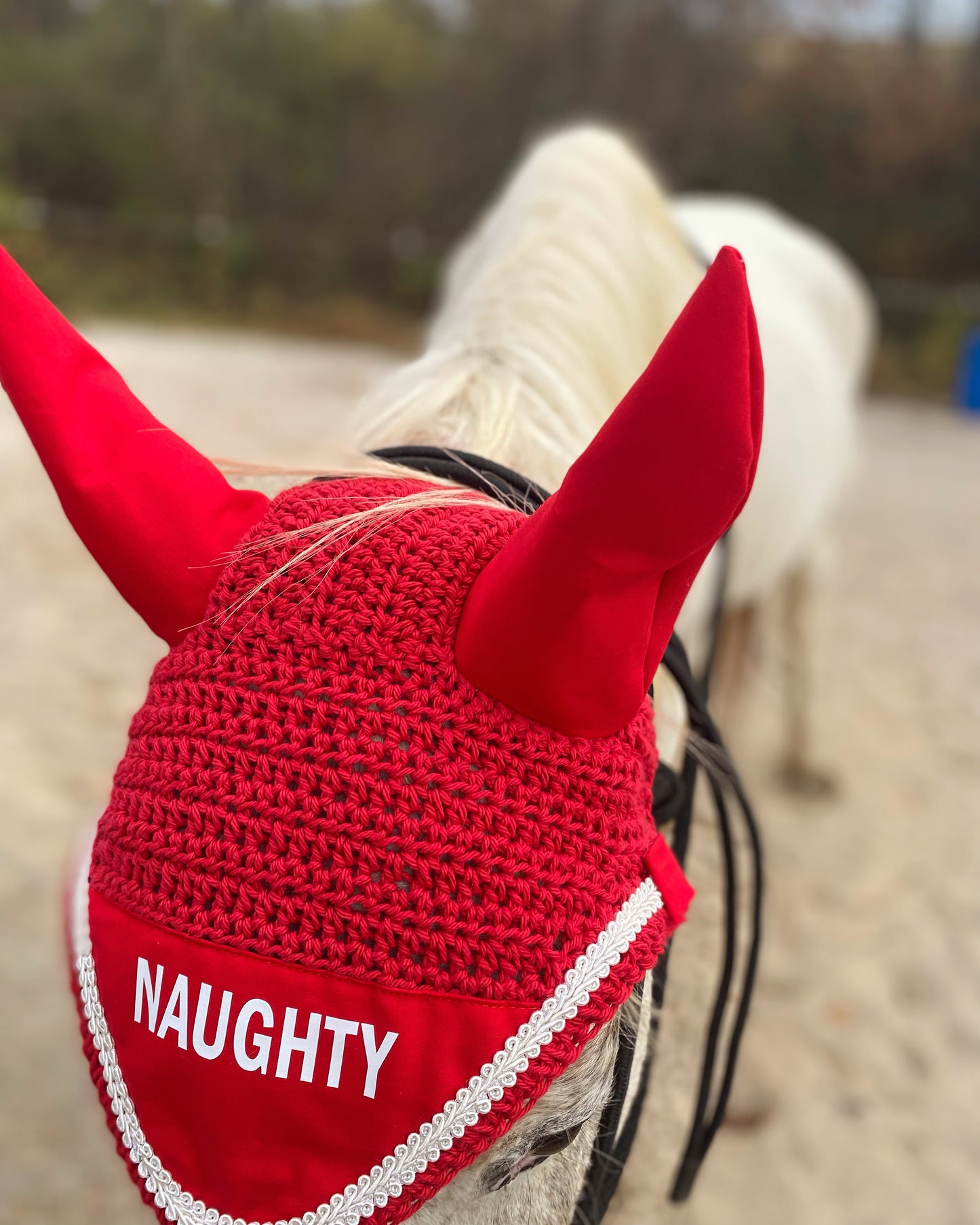 Naughty fly bonnet