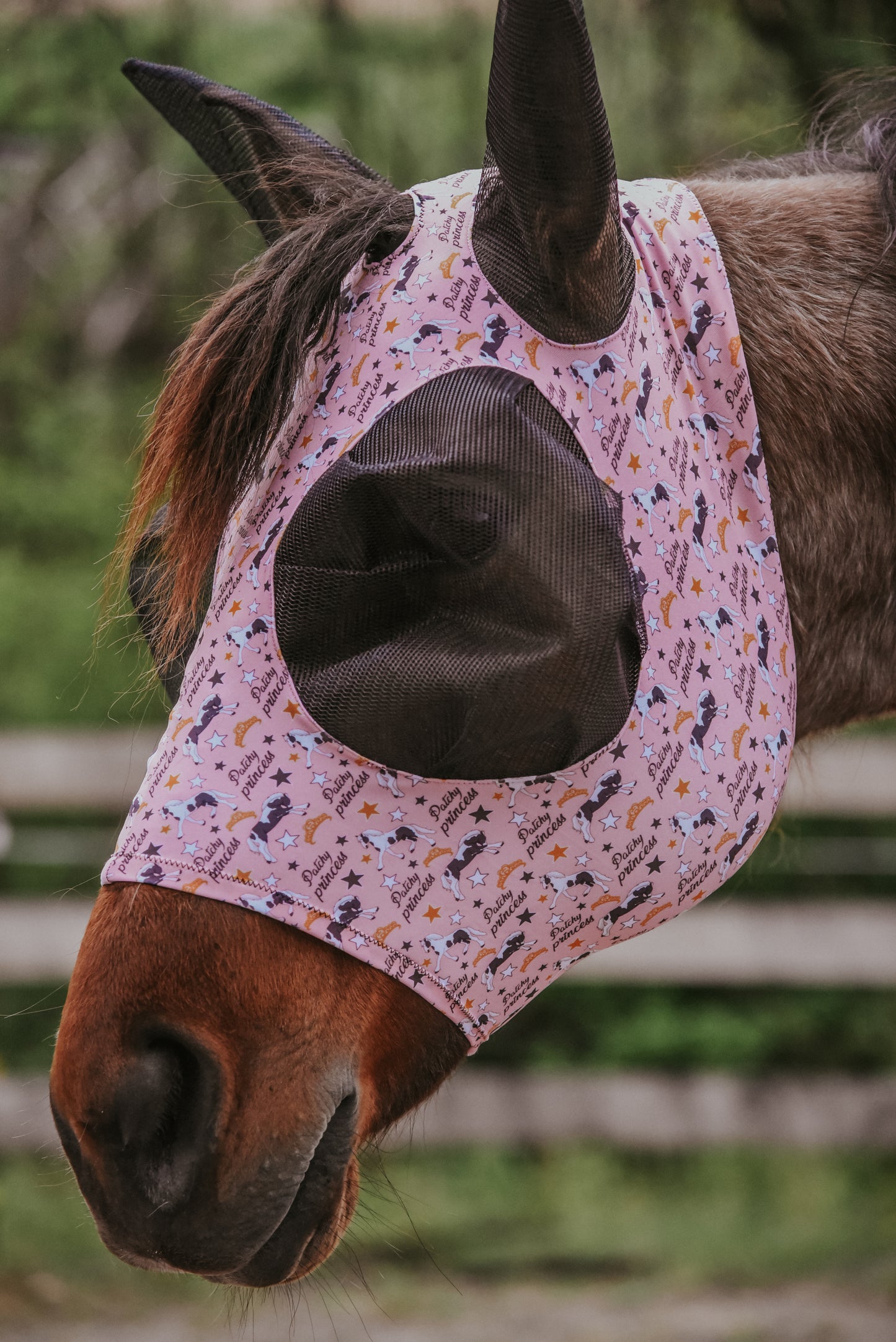 Patchy princess fly mask