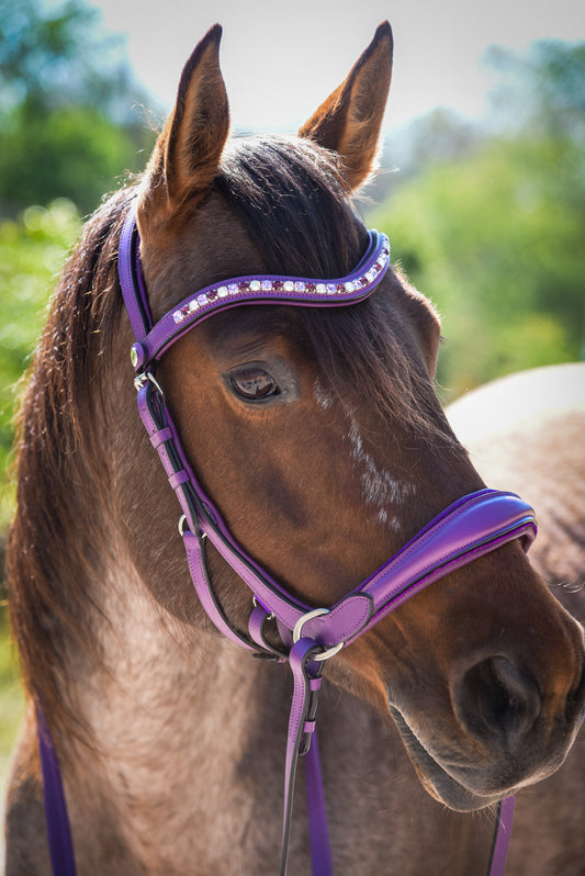 Purple bling bitless English bridle