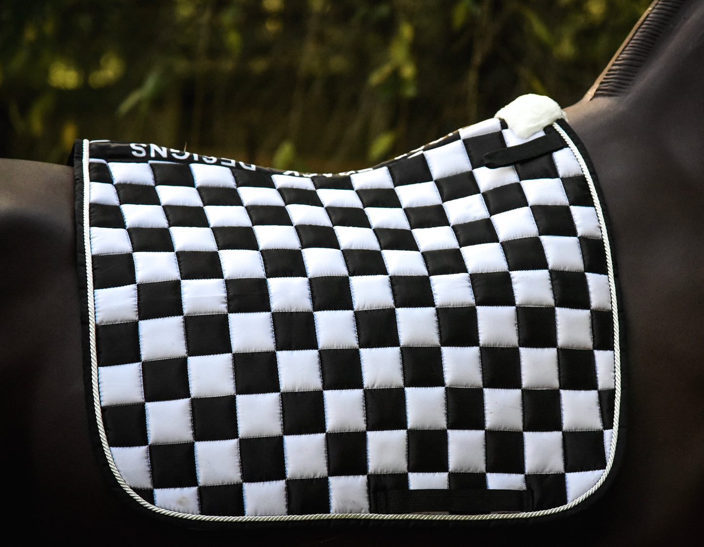 Black/white checker dressage pad