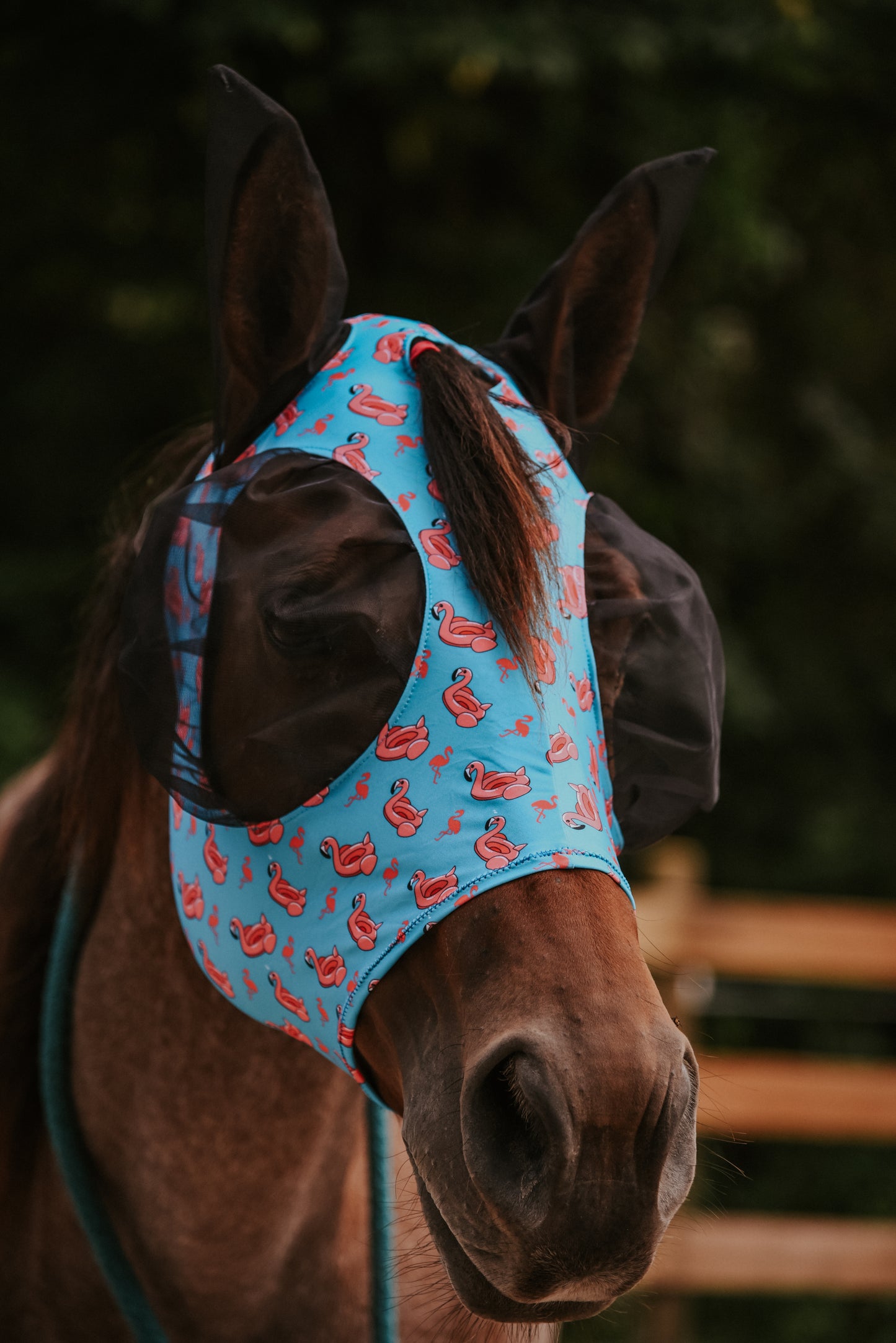 Flamingo Lycra fly mask
