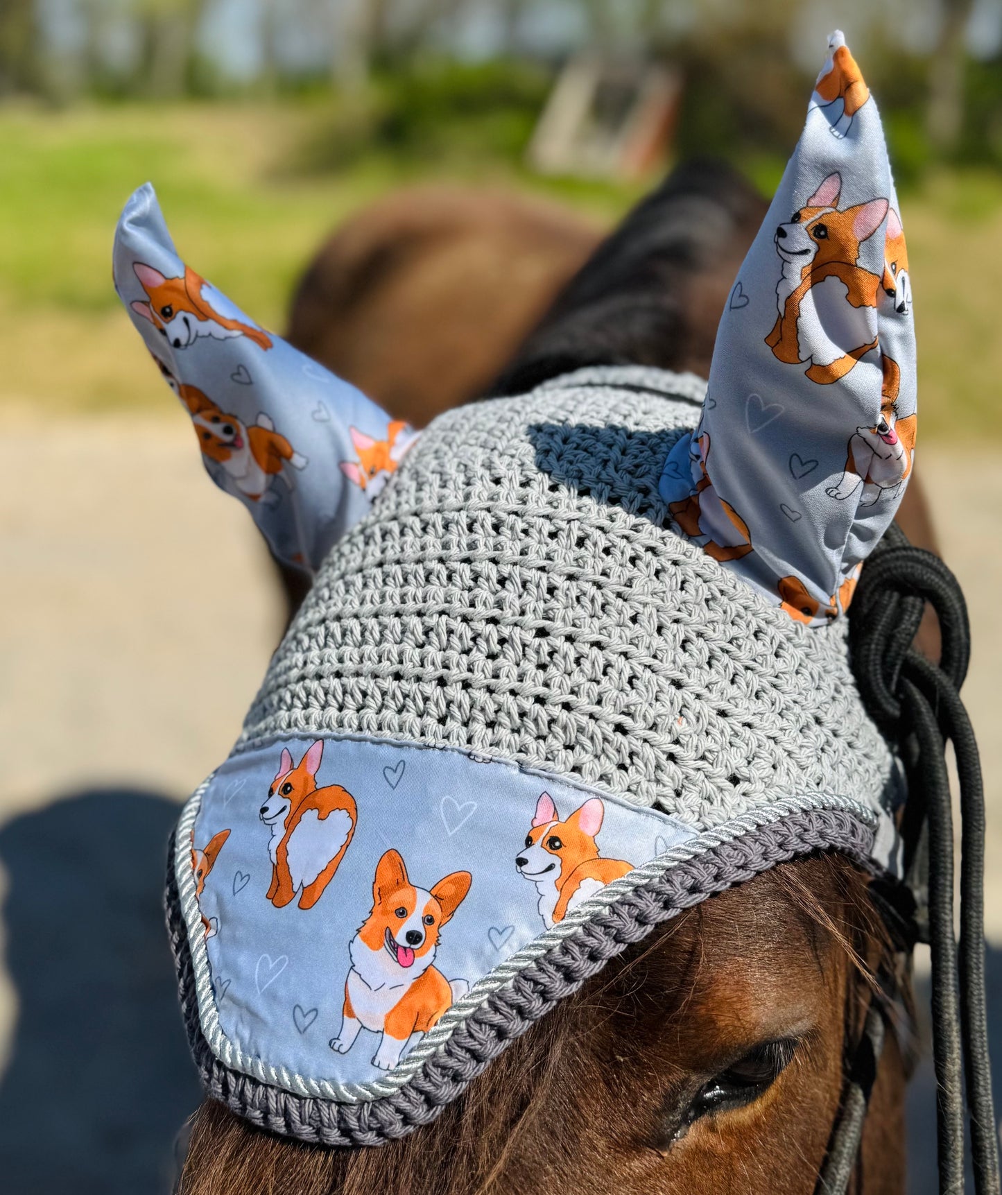 Corgi fly bonnet