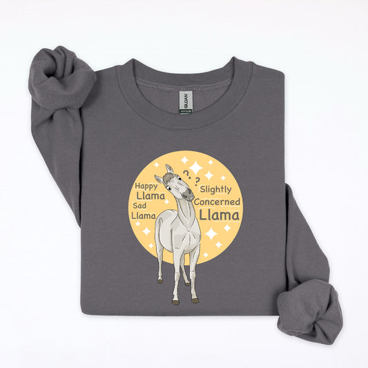 PREORDER concerned llama crewneck sweatshirt