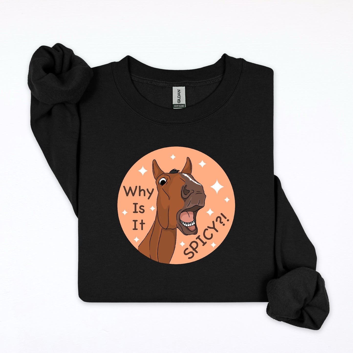 PREORDER why is it spicy crewneck sweatshirt