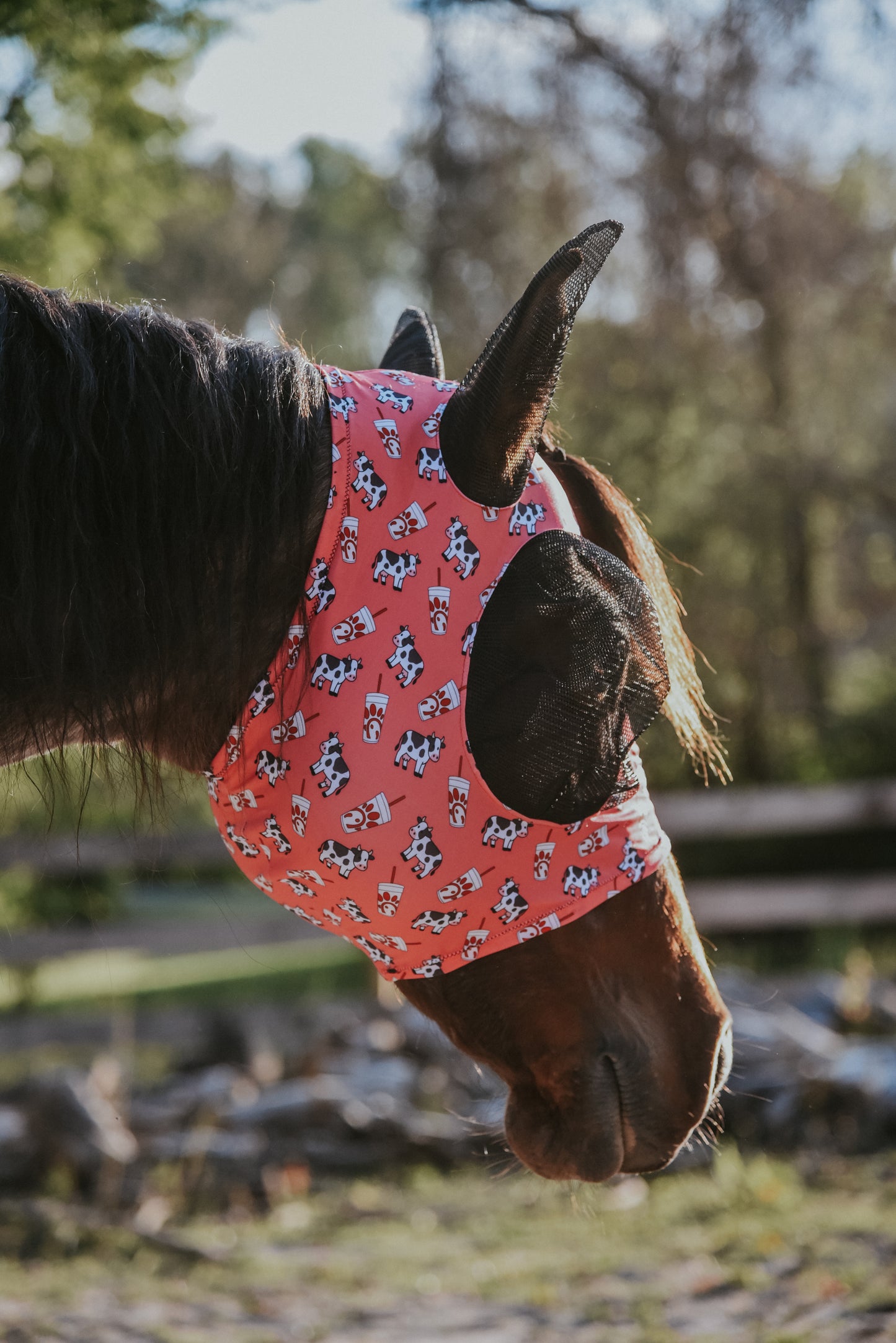 Chick Fla fly mask