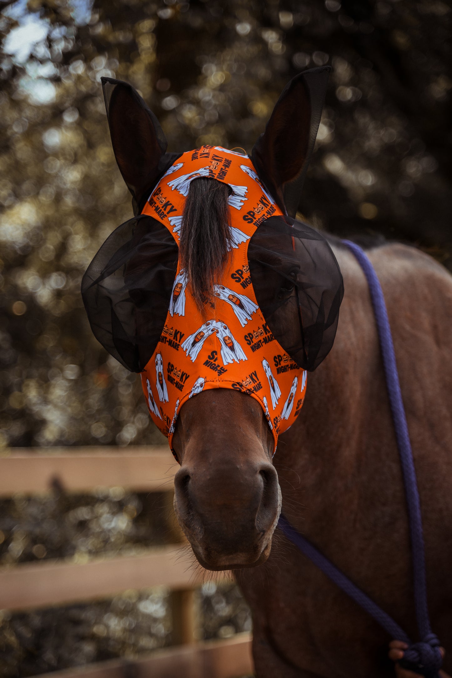 Night-Mare fly mask