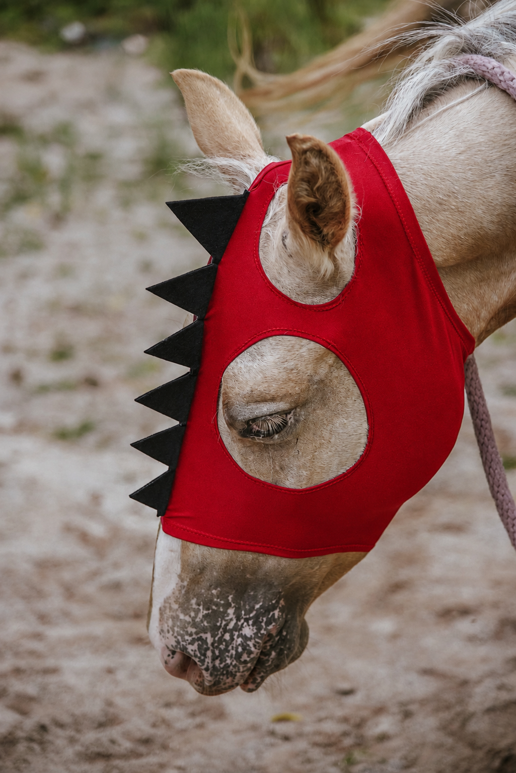 Red Dino costume mask