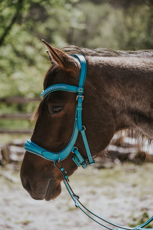 Blue bling bitless English bridle