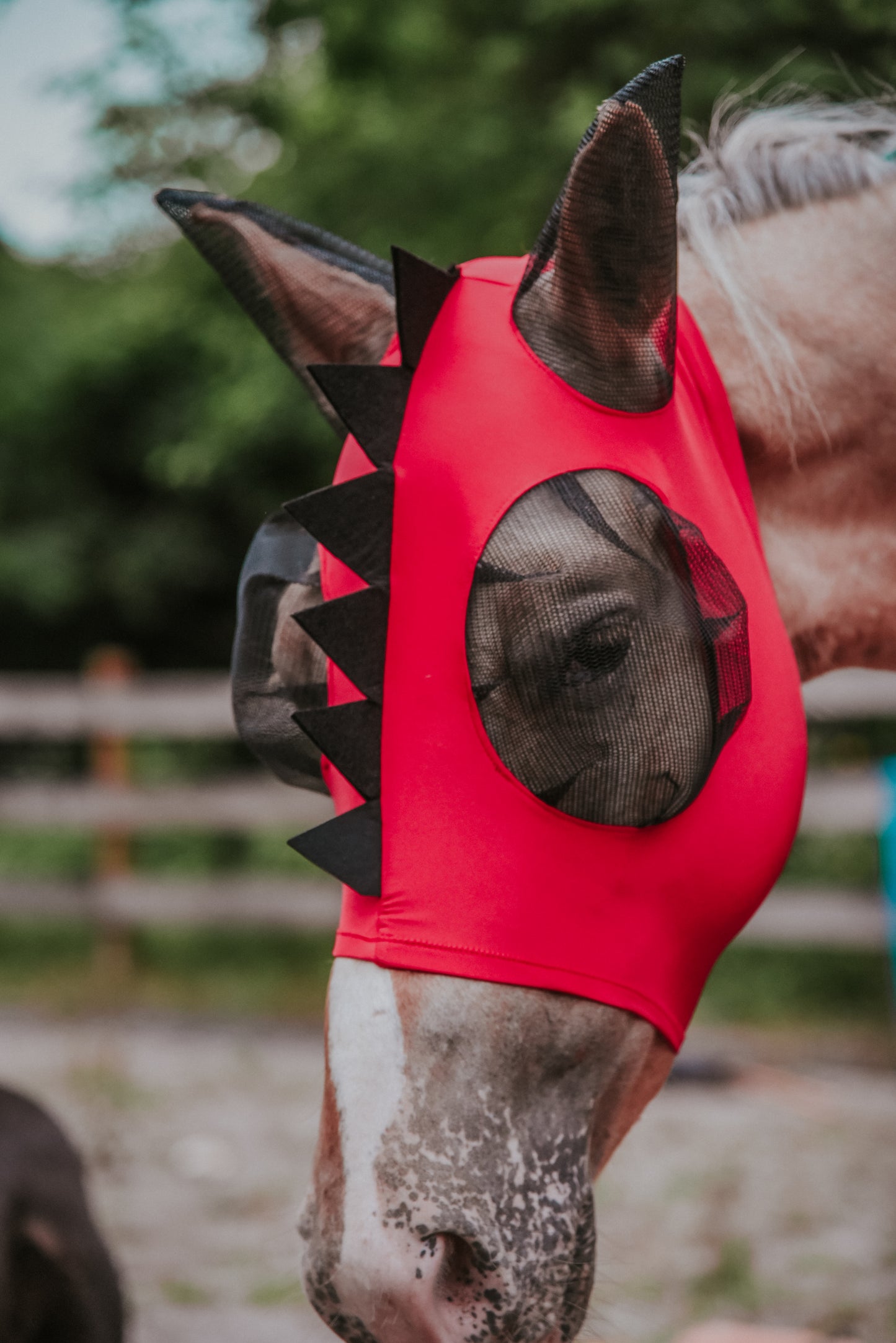 Red Dino fly mask