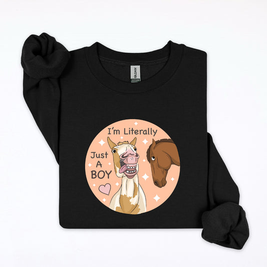 PREORDER just a boy crewneck sweatshirt