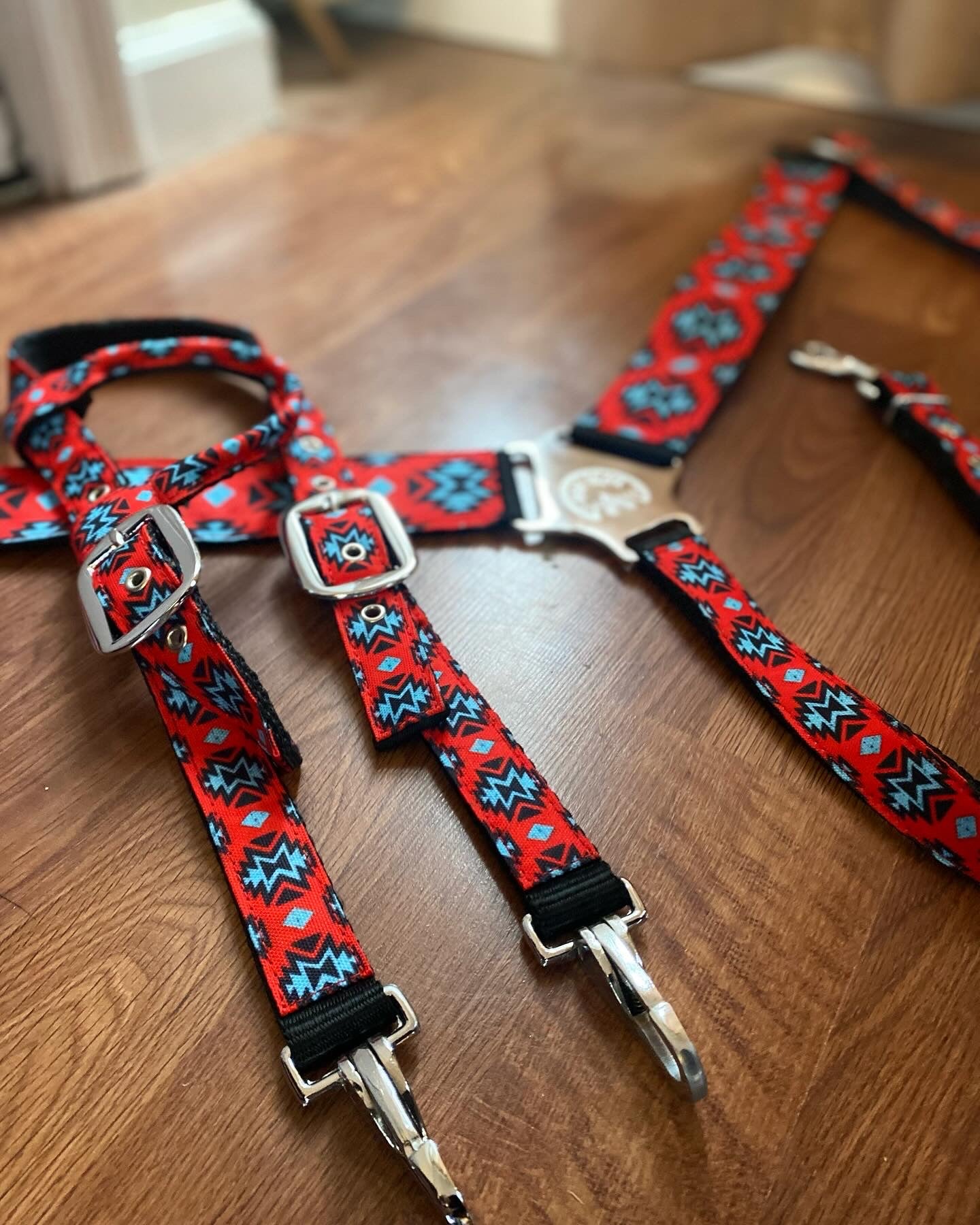 Red Aztec nylon tack set