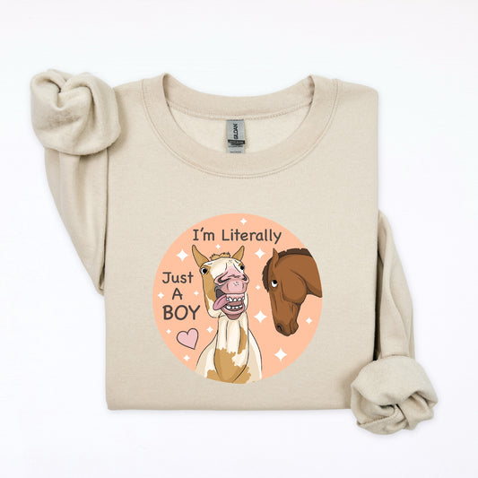 PREORDER just a boy crewneck sweatshirt