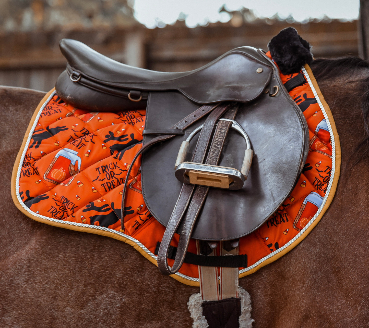 PREORDER trick or treat saddle pad