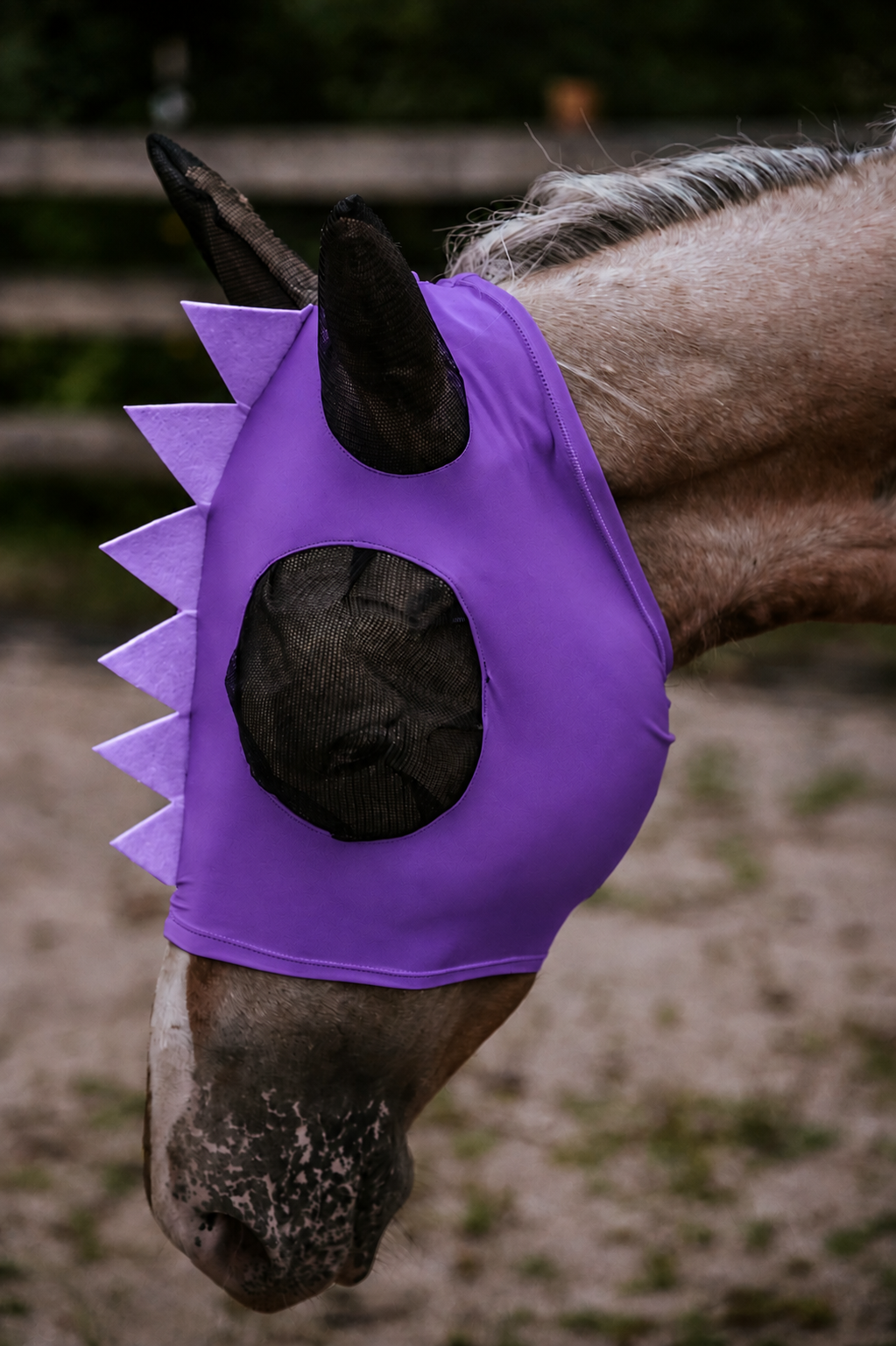 Purple Dino fly mask
