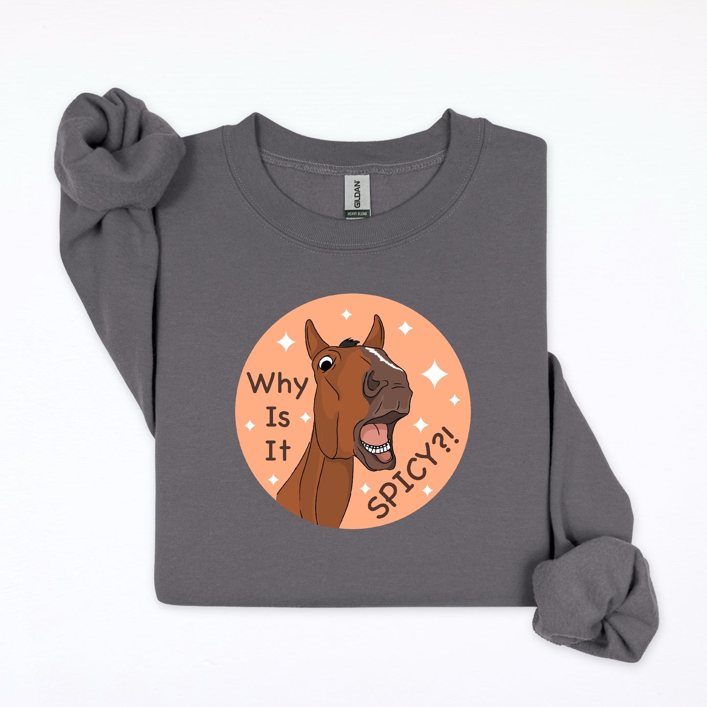 PREORDER why is it spicy crewneck sweatshirt