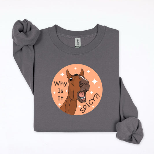 PREORDER why is it spicy crewneck sweatshirt