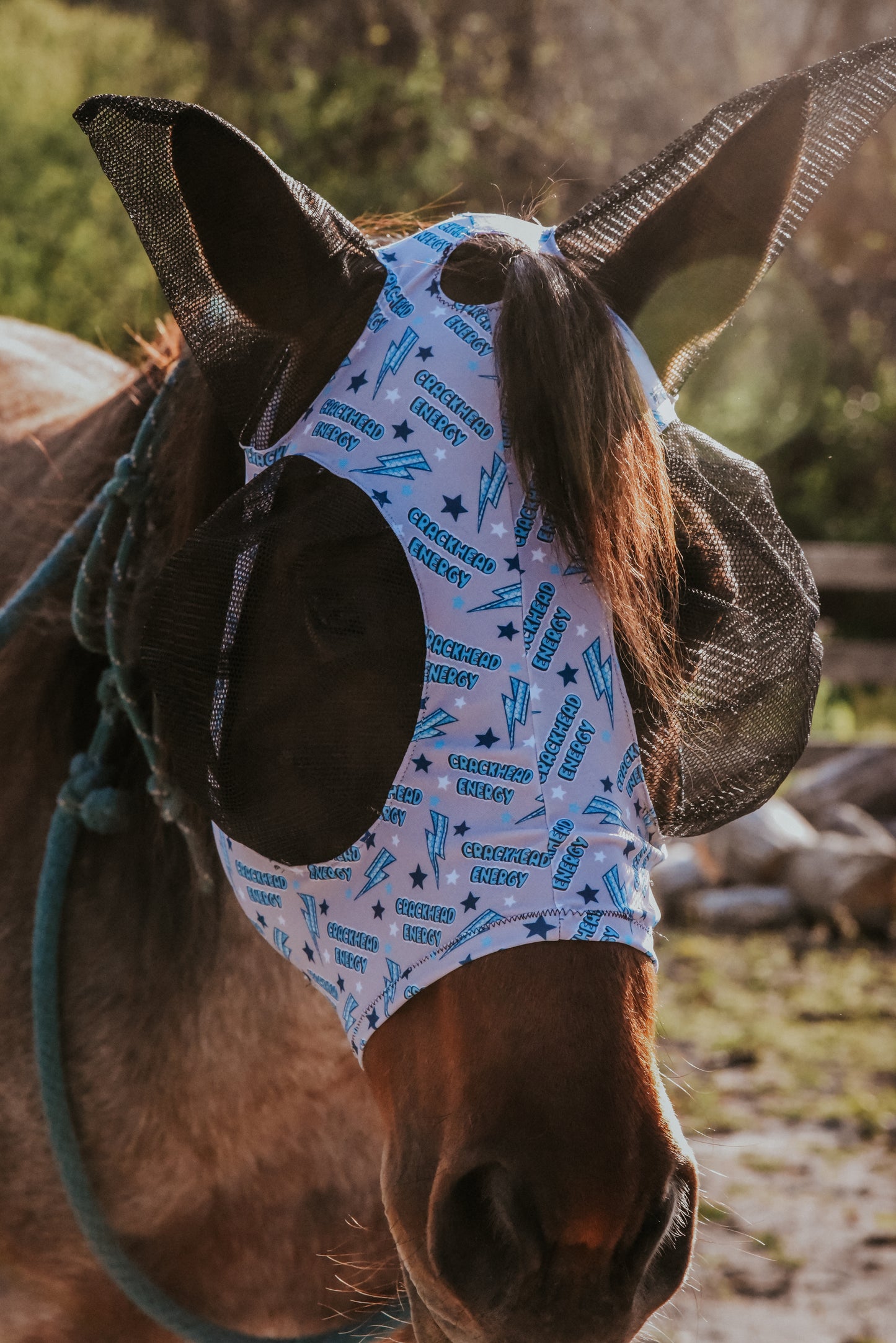 Crackhead energy fly mask