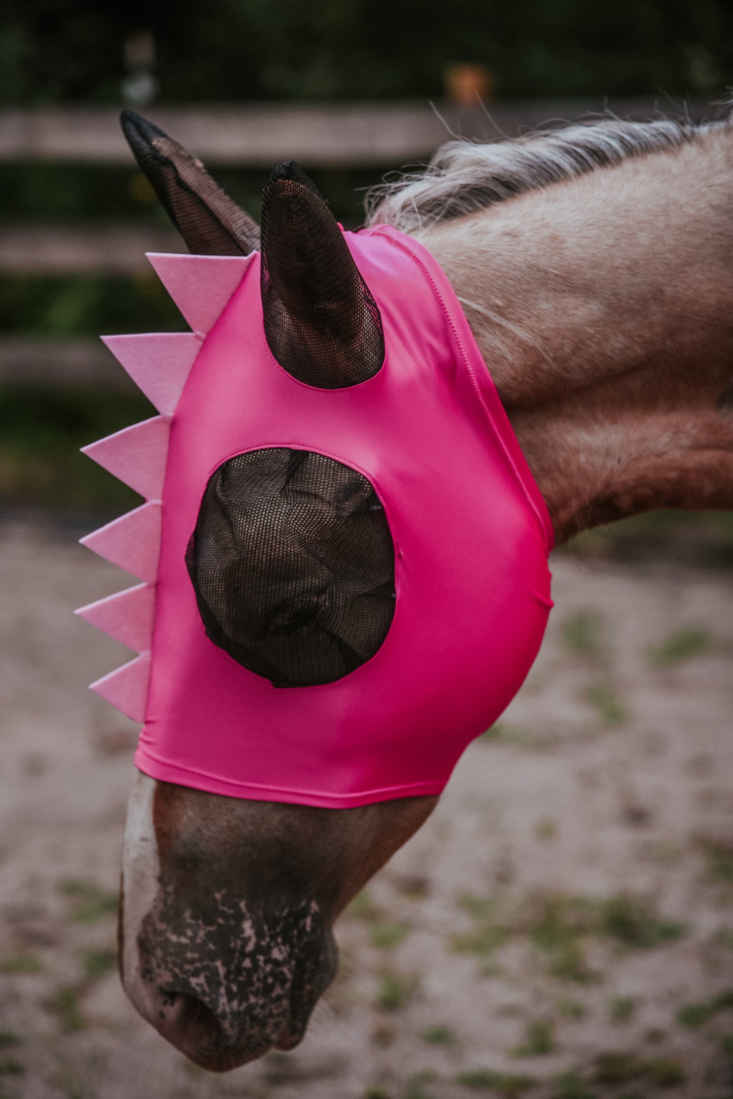 Pink Dino fly mask
