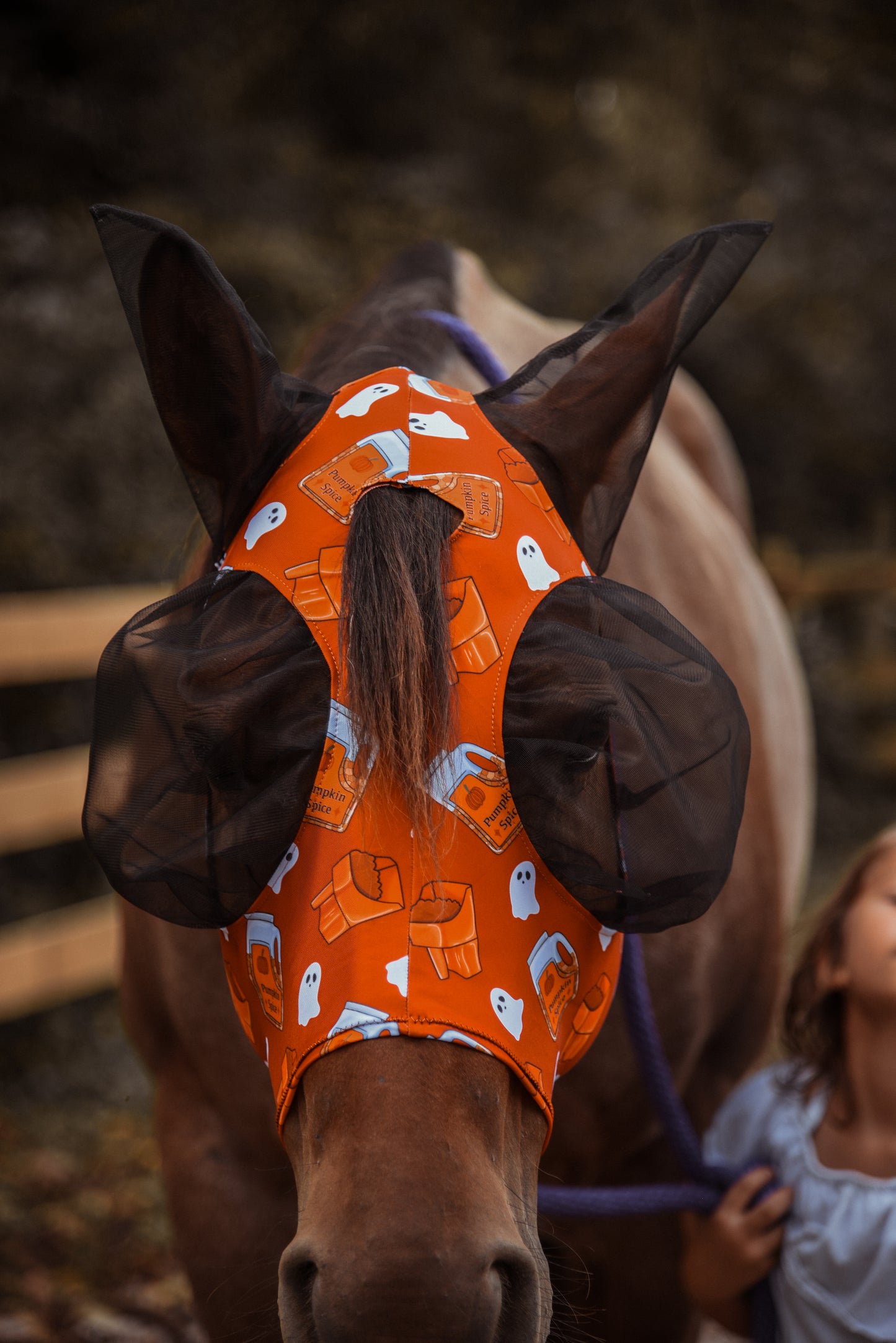 Pumpkin spice fly mask