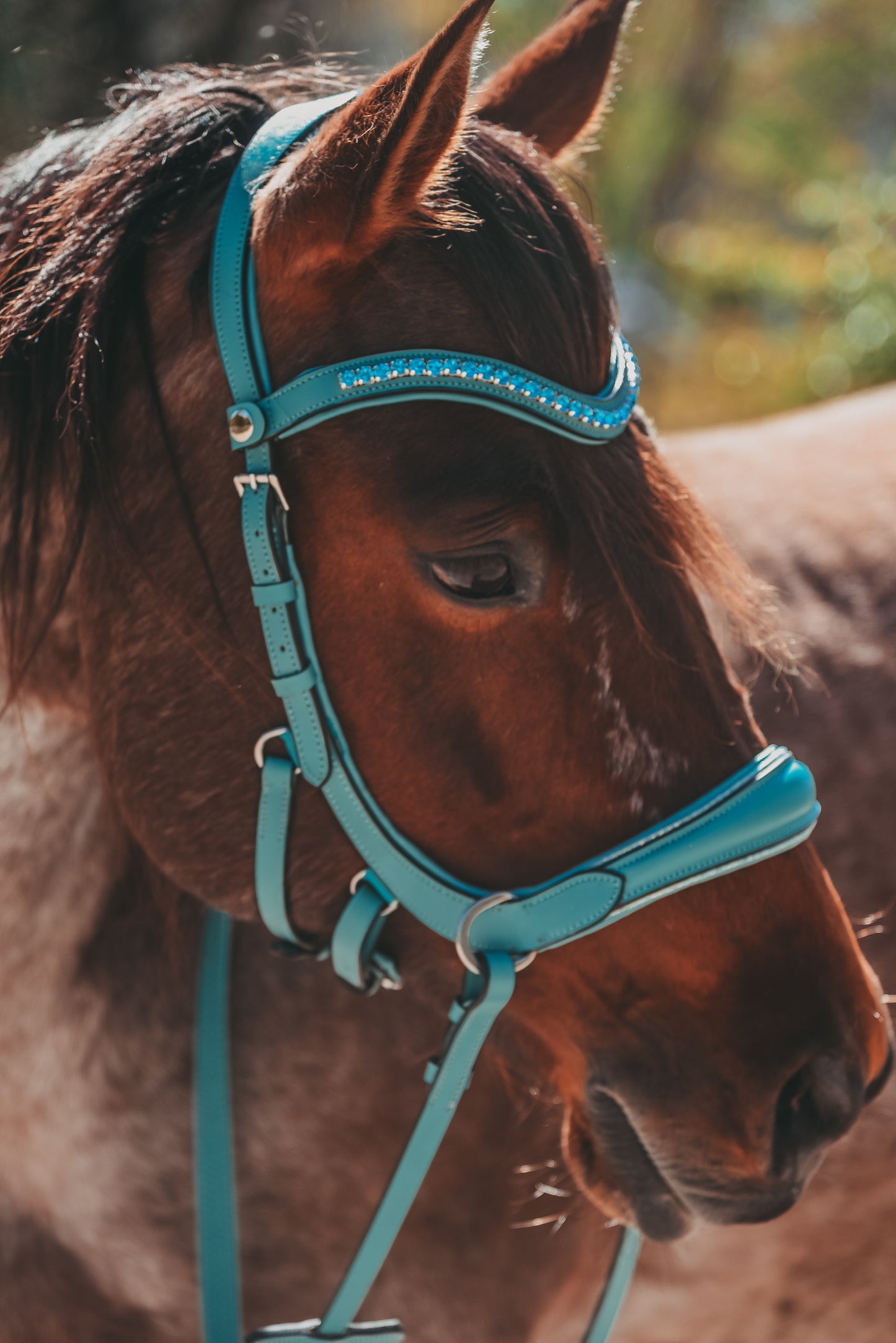 Blue bling bitless English bridle