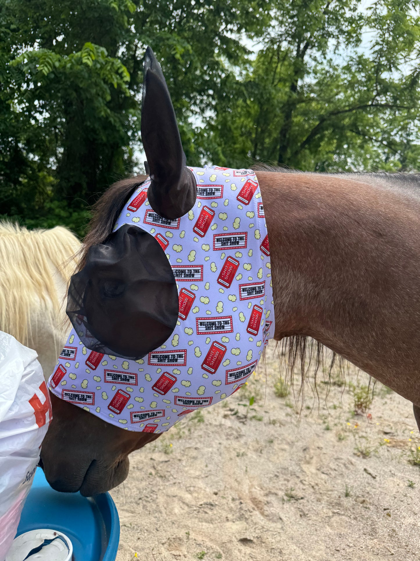 Shit show Lycra fly mask