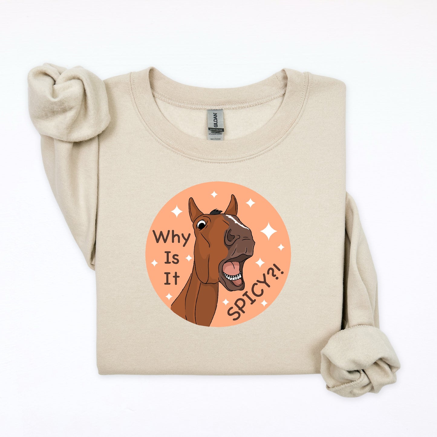 PREORDER why is it spicy crewneck sweatshirt