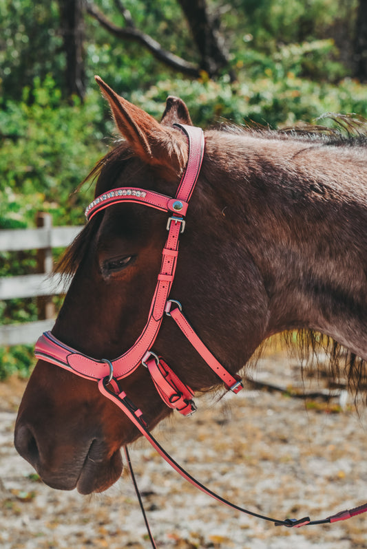 Pink bling bitless English bridle