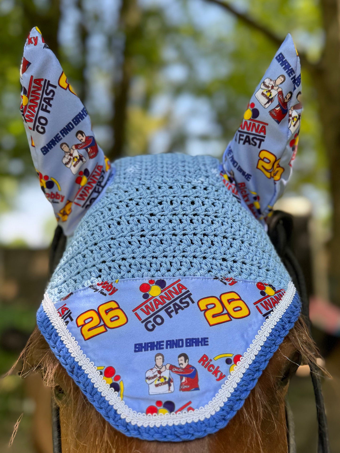 Ricky Bobby fly bonnet