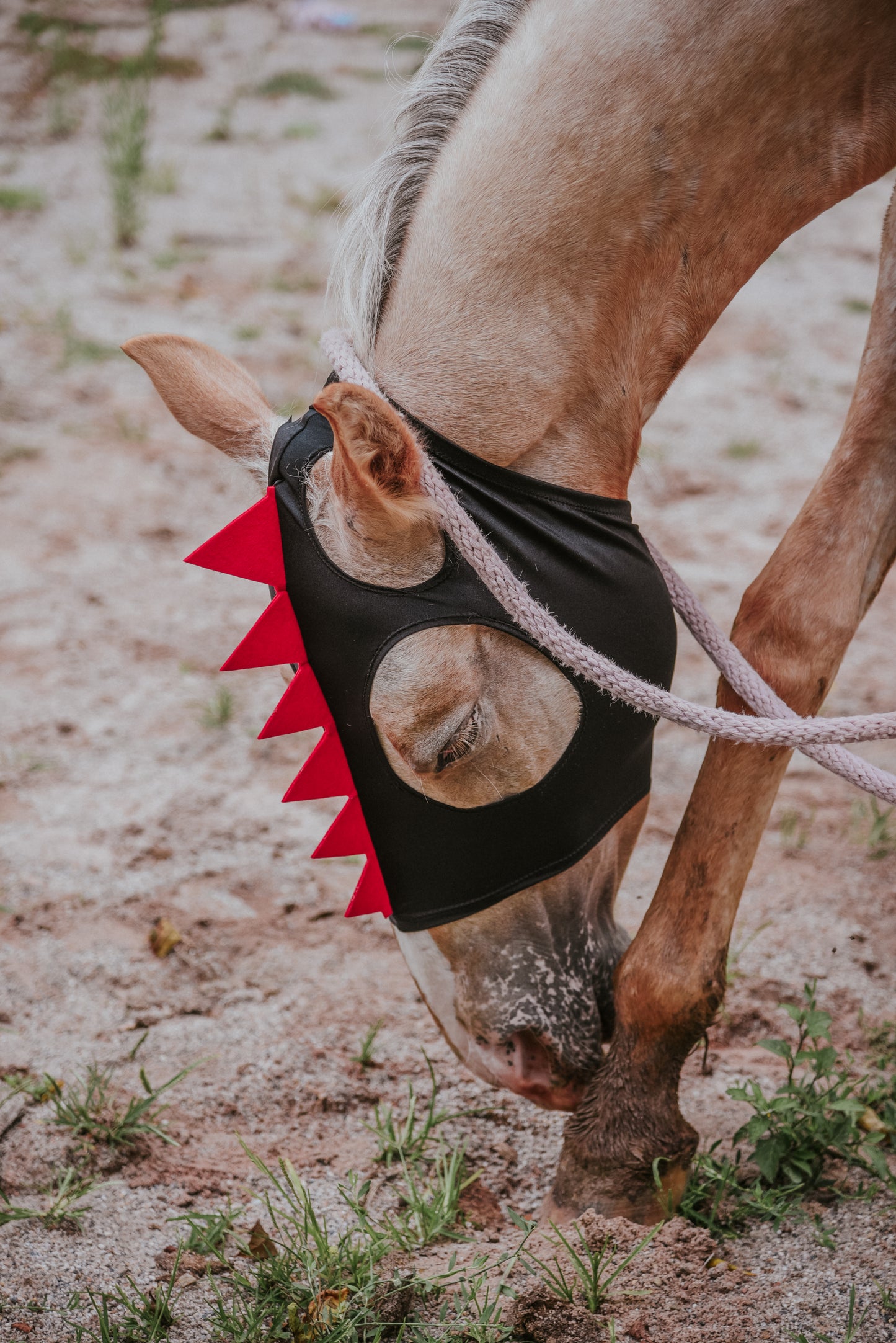 Black Dino costume mask