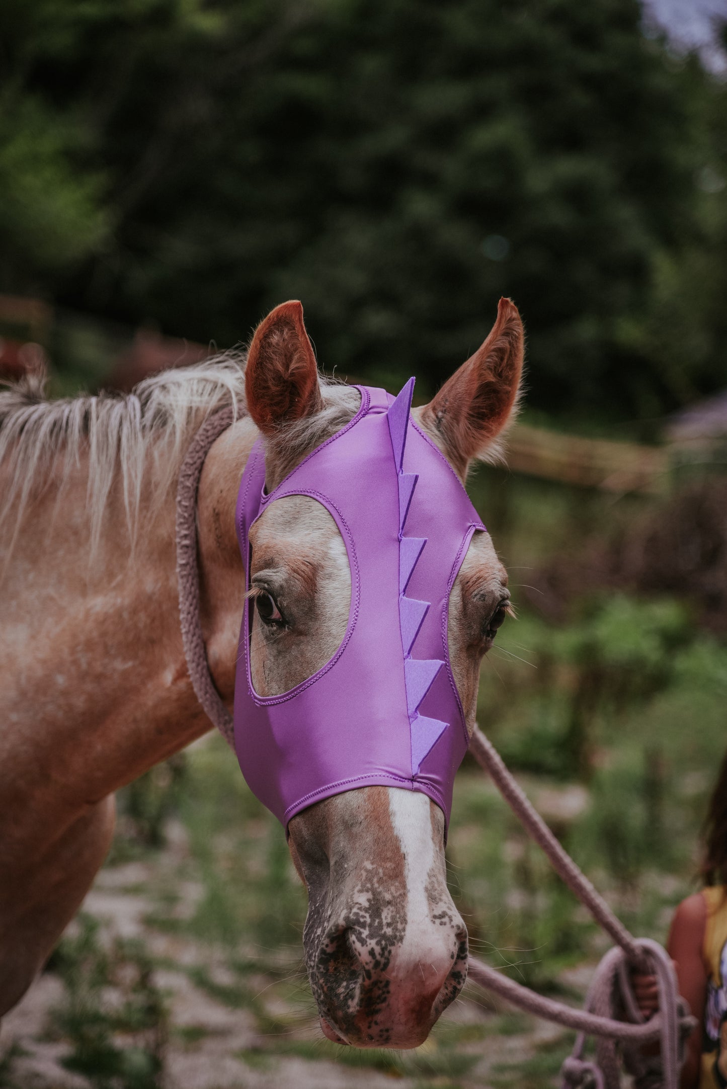 Purple Dino costume mask