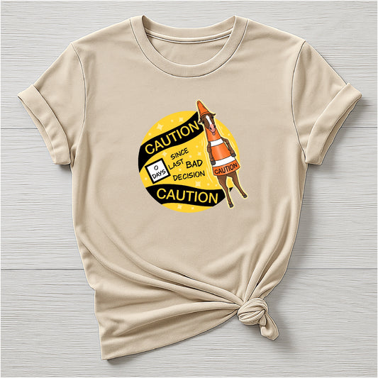 PREORDER 0 days since last bad decision Tee
