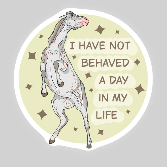 I have not behaved a day in my life STICKER sheet