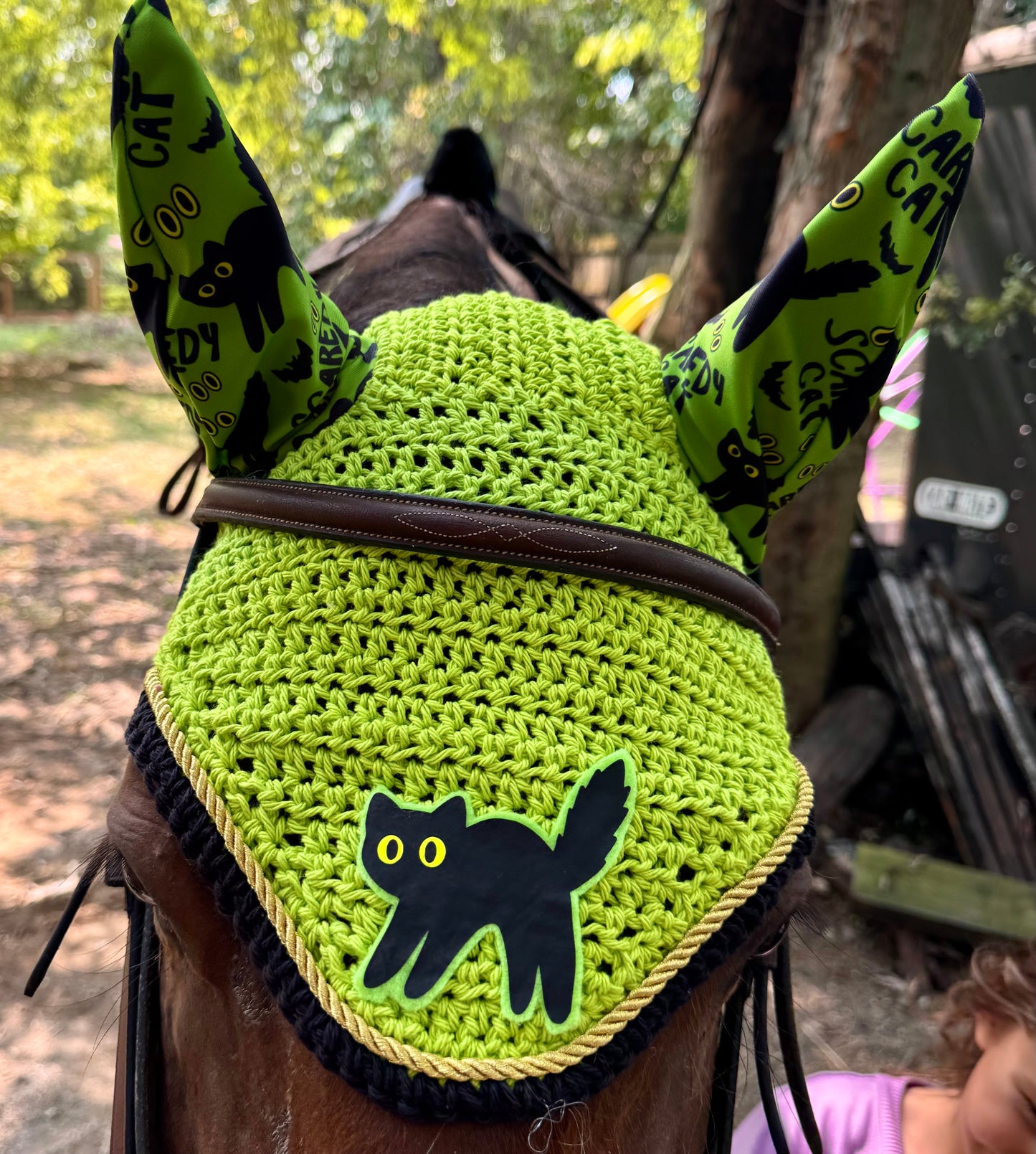Scaredy cat bonnet