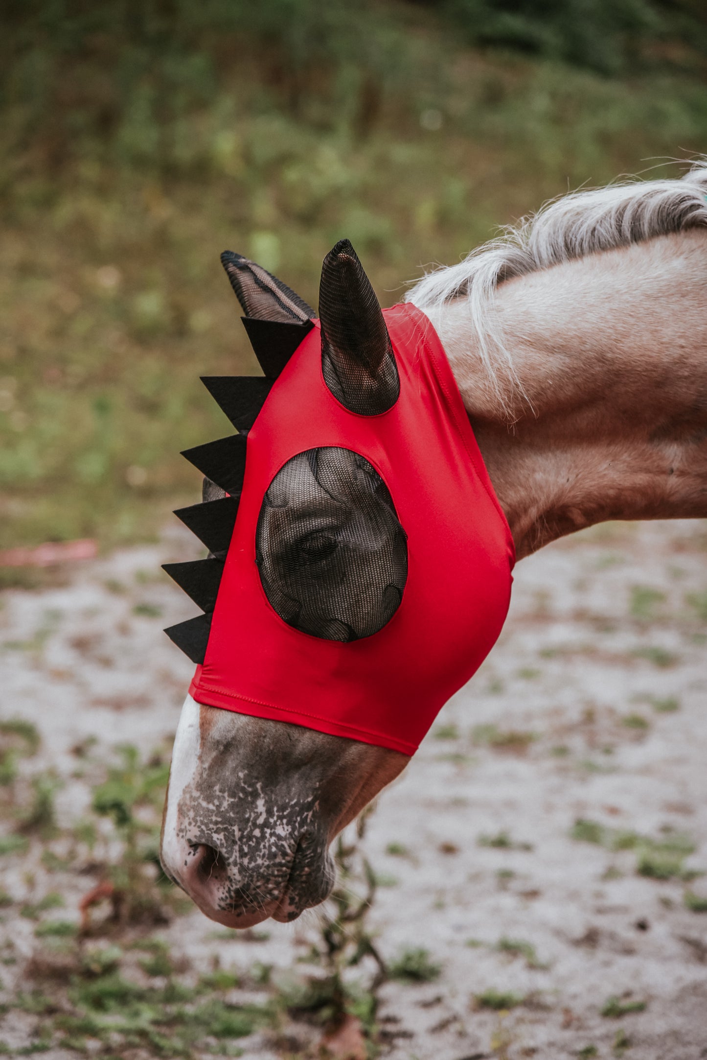 Red Dino fly mask