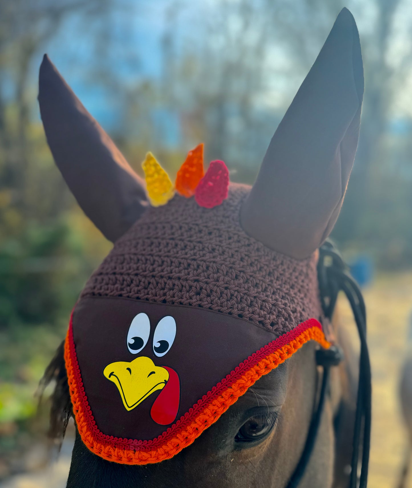 Turkey thanksgiving fly bonnet