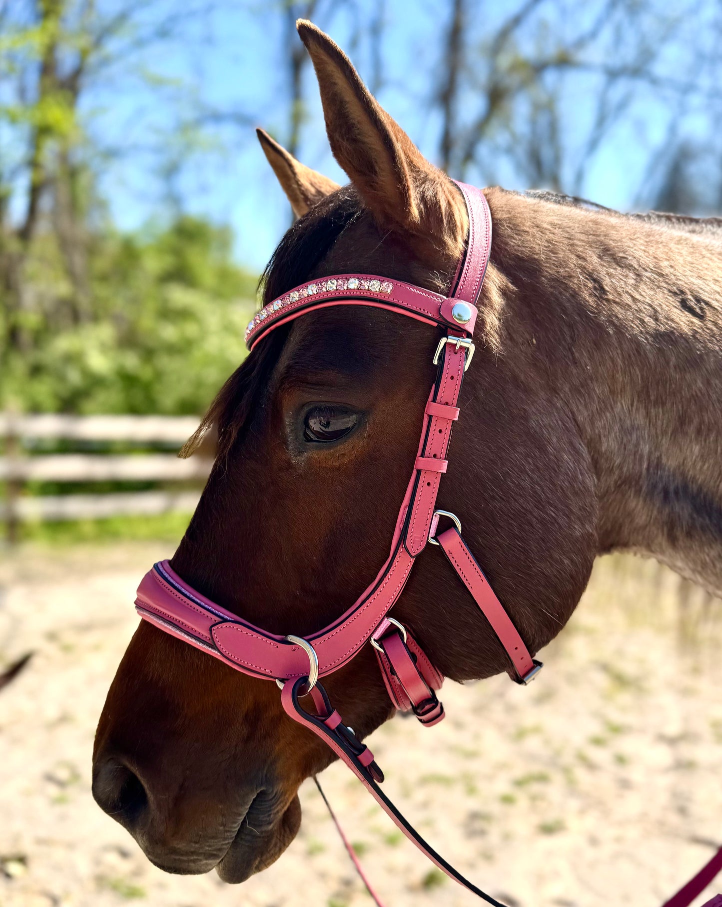 Pink bling bitless English bridle