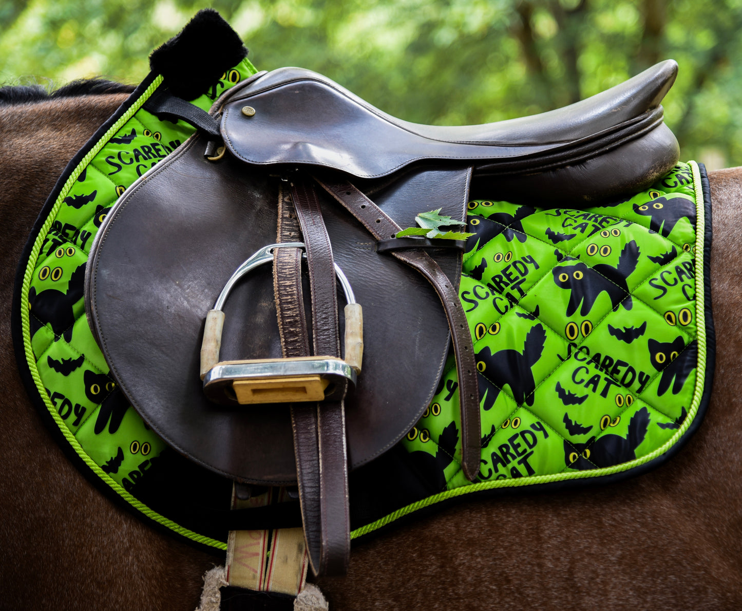 Scaredy cat saddle pad