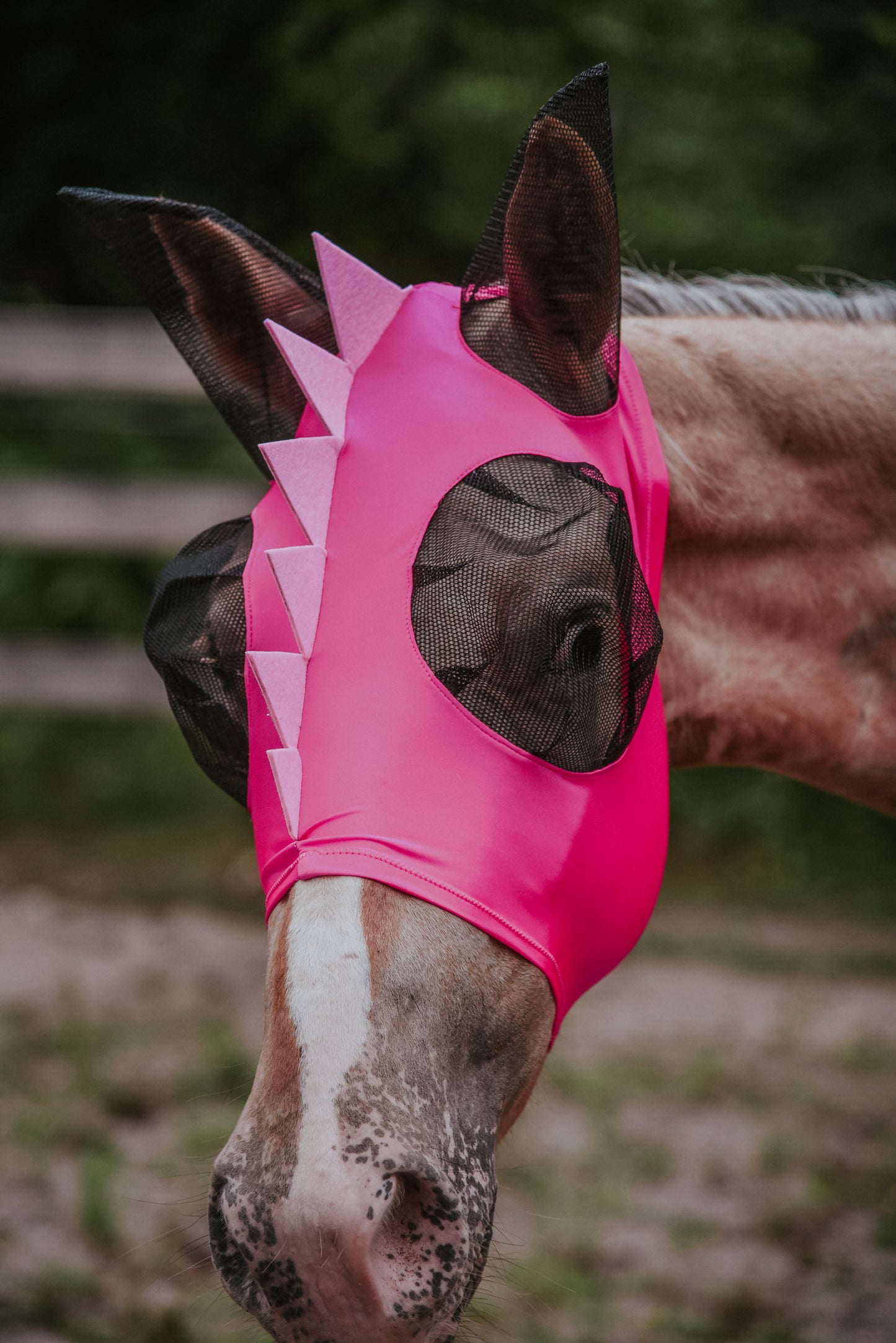 Pink Dino fly mask
