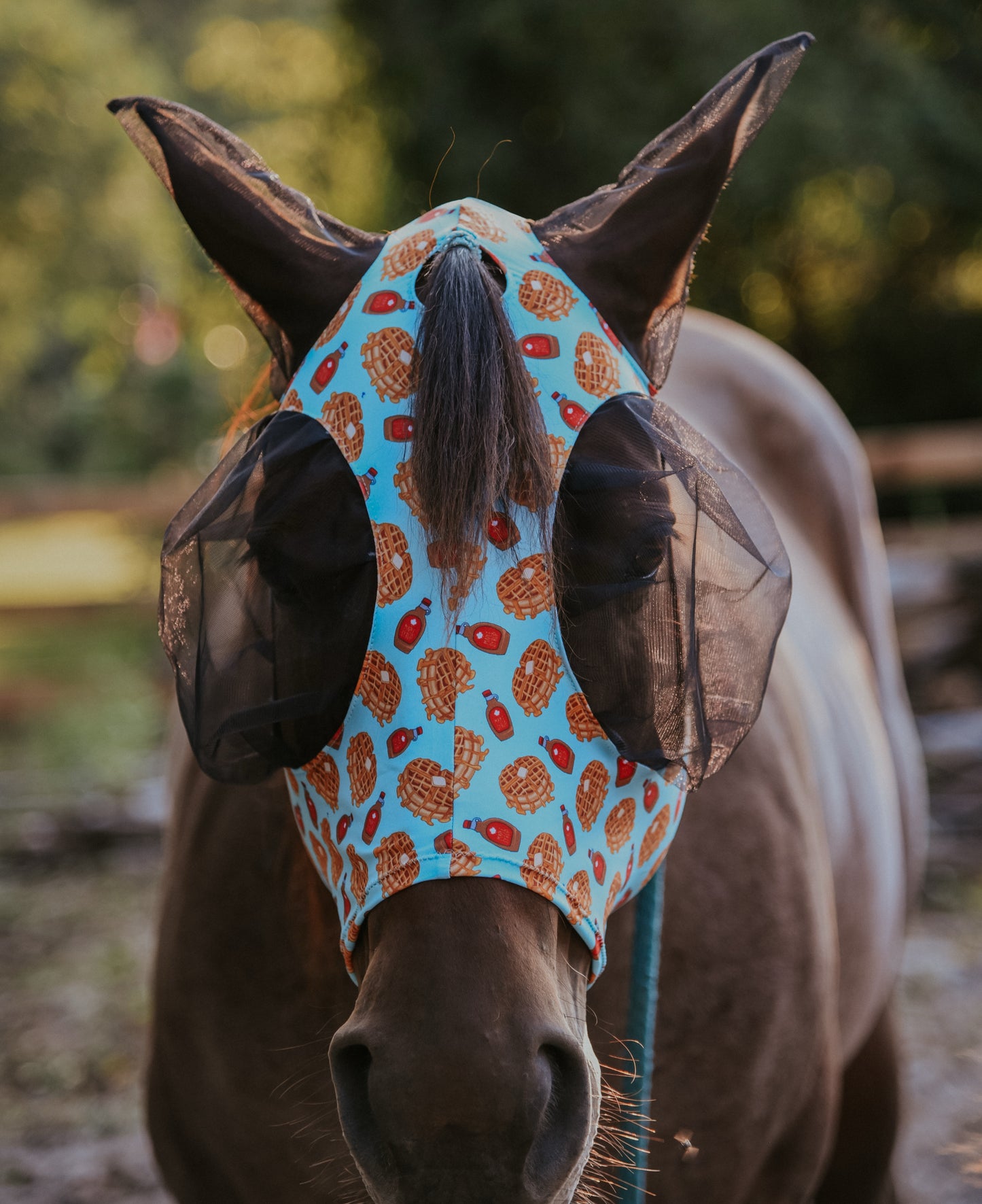 Waffle Lycra fly mask