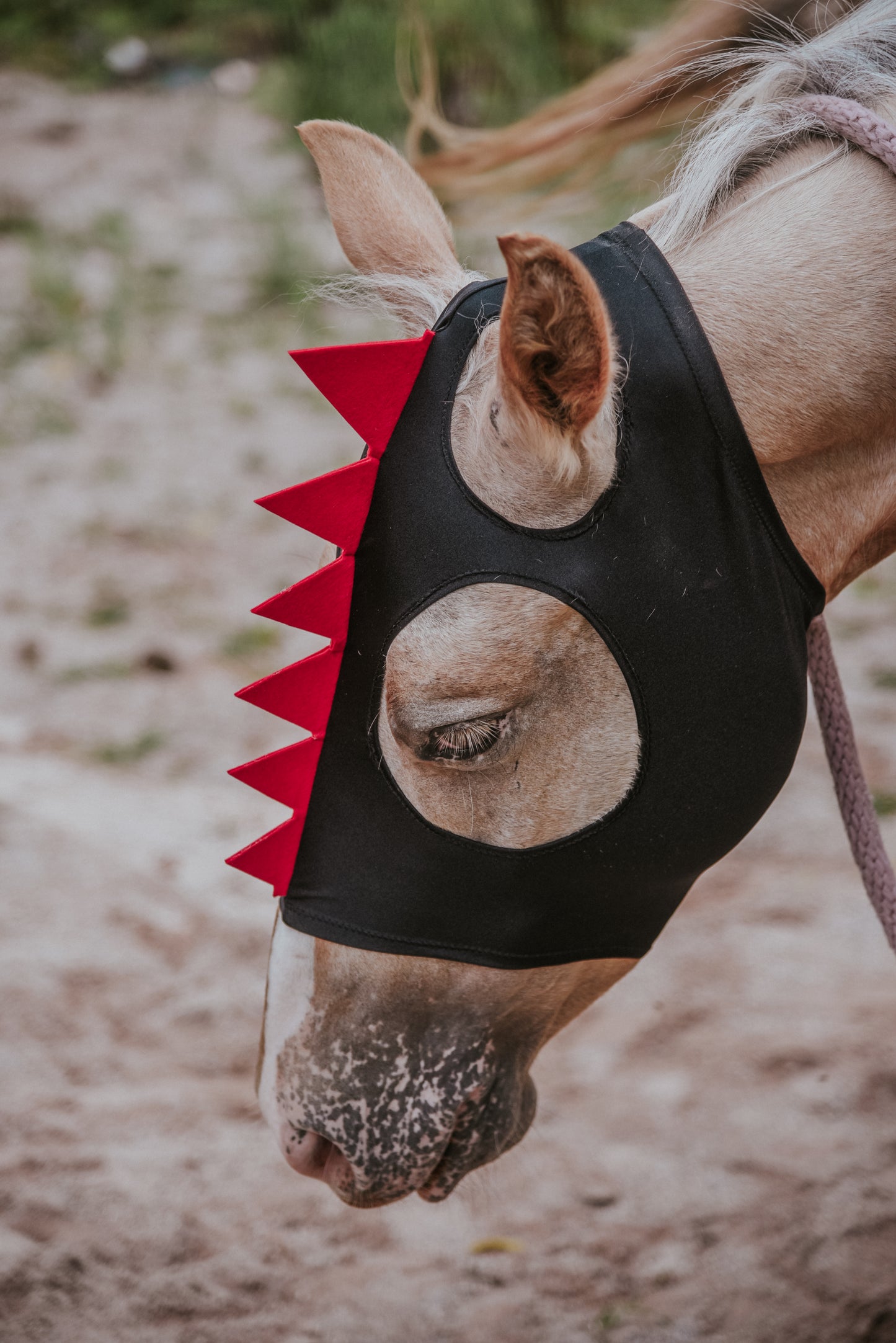 Black Dino costume mask
