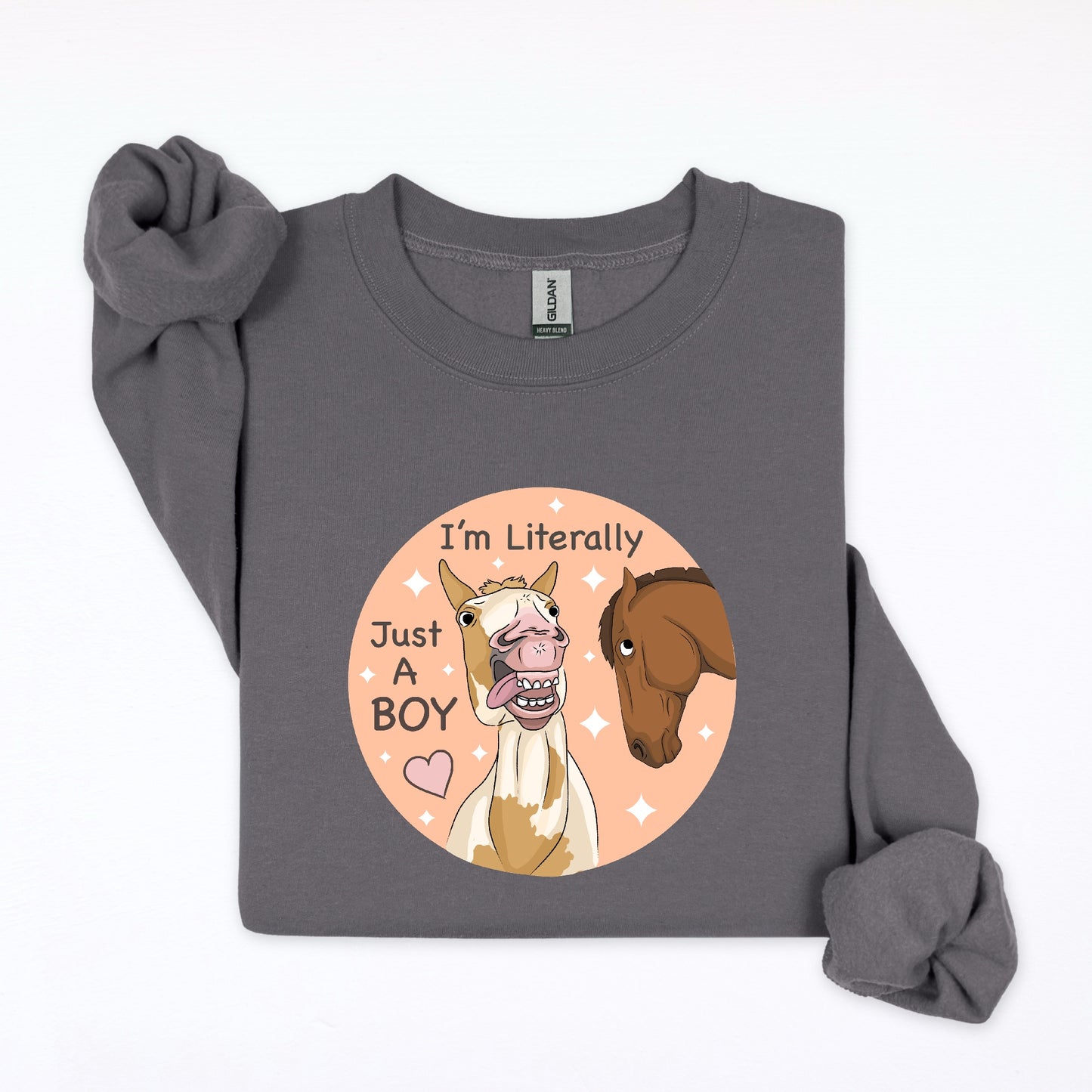 PREORDER just a boy crewneck sweatshirt