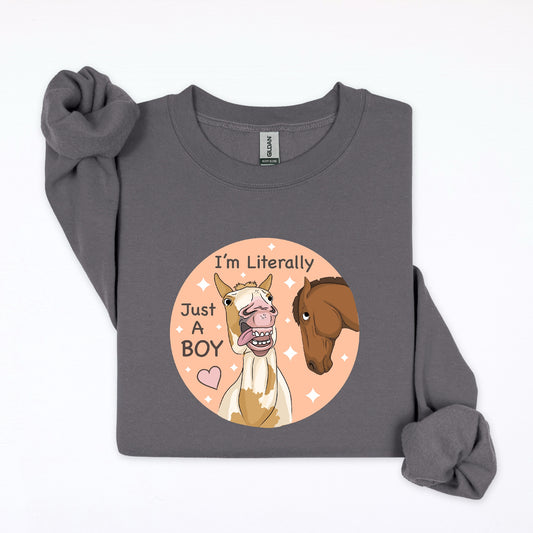 PREORDER just a boy crewneck sweatshirt
