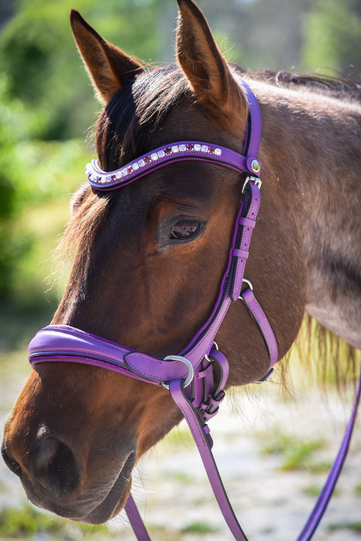 Purple bling bitless English bridle