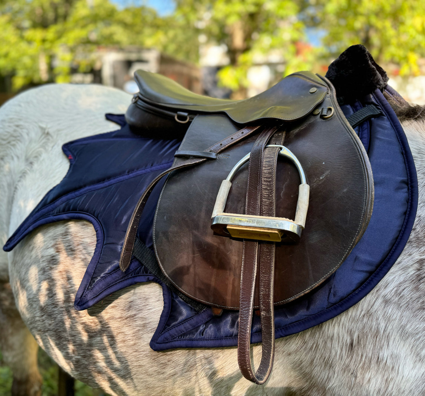 Navy dragon wing saddle pad