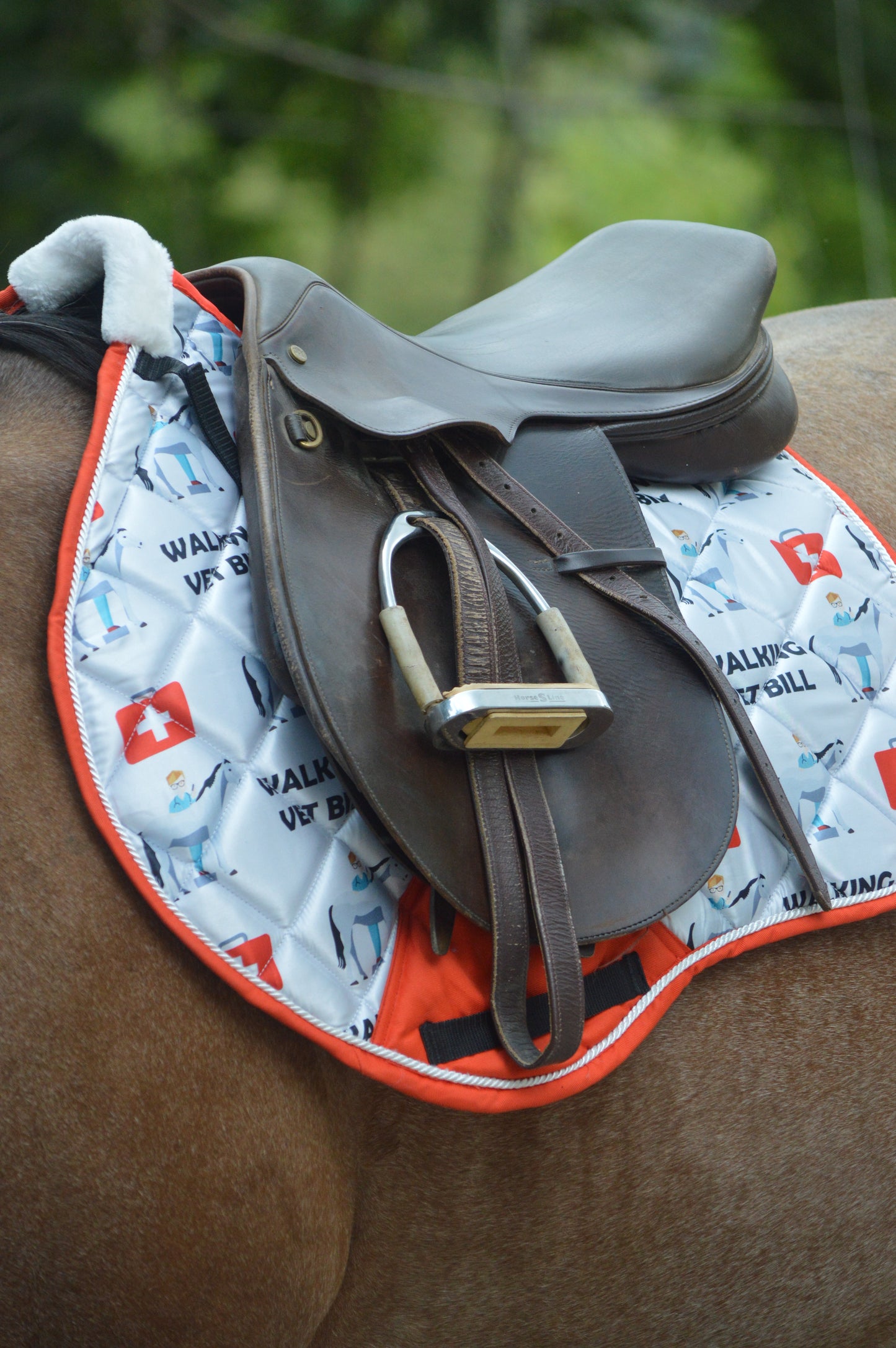 Walking vet bill jump cut saddle pad