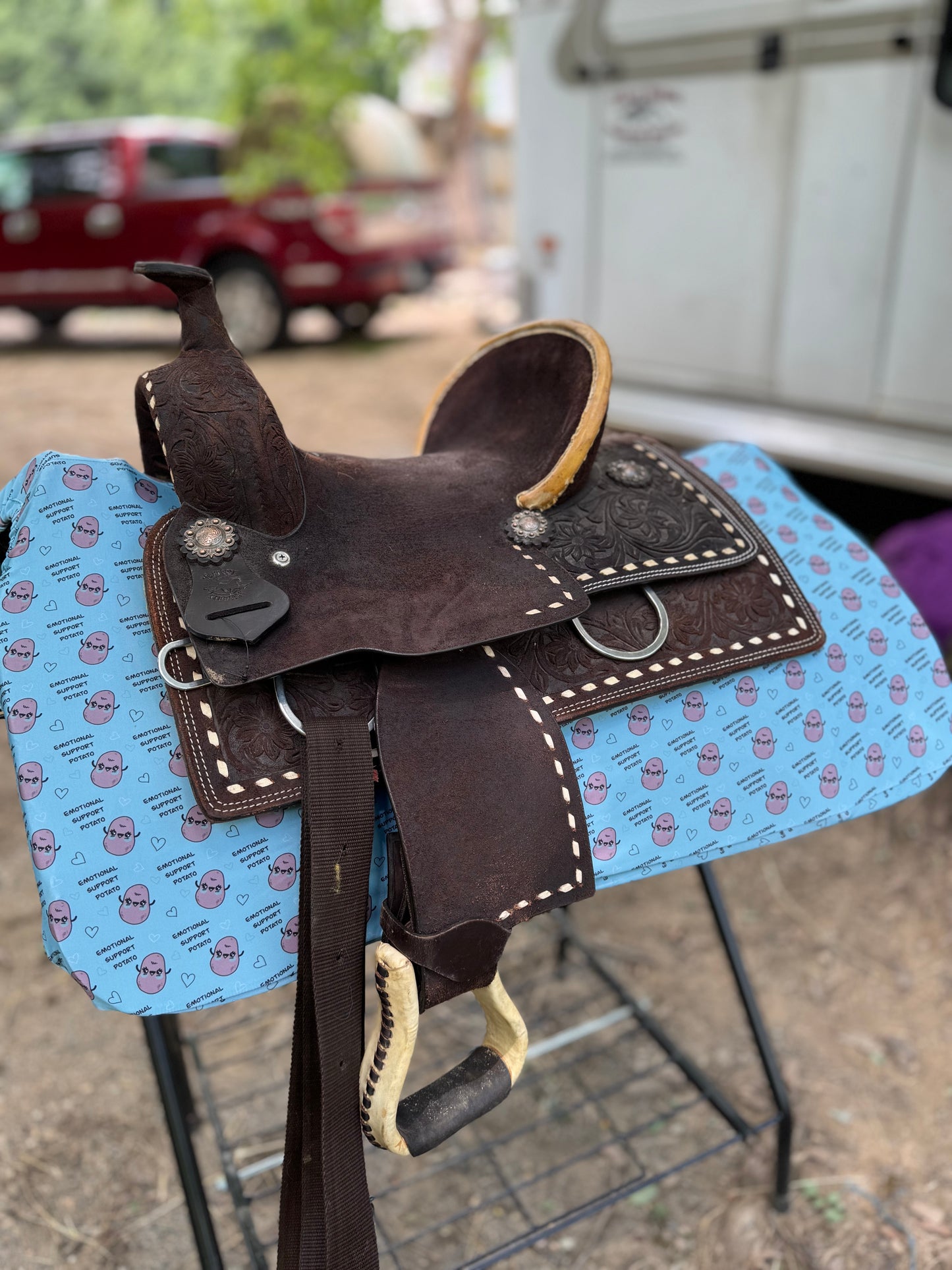 Potato western saddle pad COVER